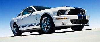 mustang-4.jpg