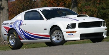 cobra.jpg